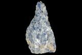 Free-Standing Blue Calcite Display - Chihuahua, Mexico #155783-1